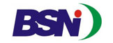 BSN logo