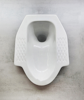 squat toilet